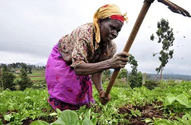 Seeking Production Tools Before Credit